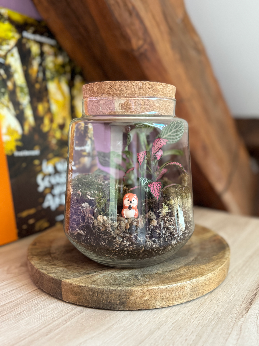 Photo du produit Kit à composer — Taille S/M (Ø15 x H17 cm) miniature.green, terrarium en bocal