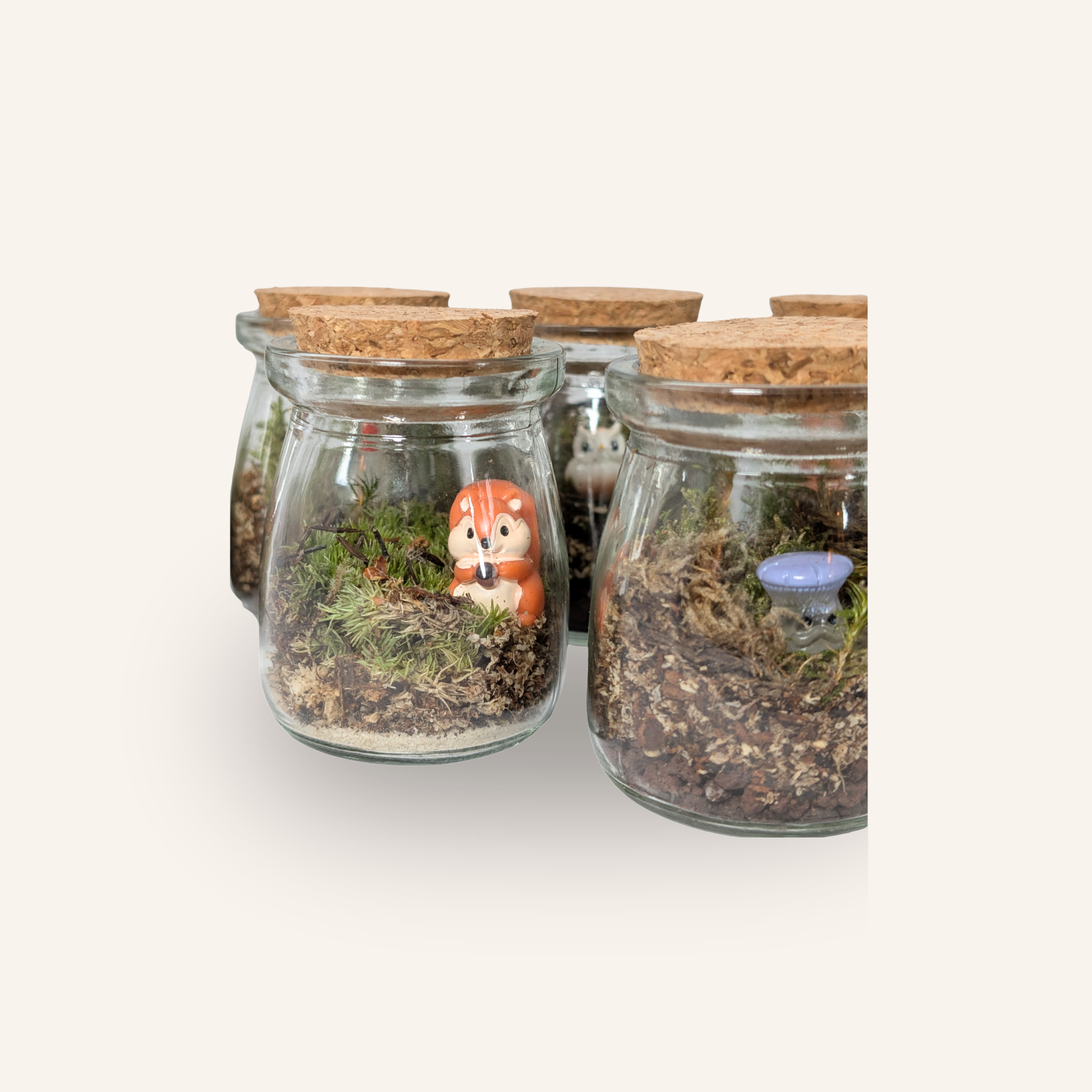 Mini-Terrariums