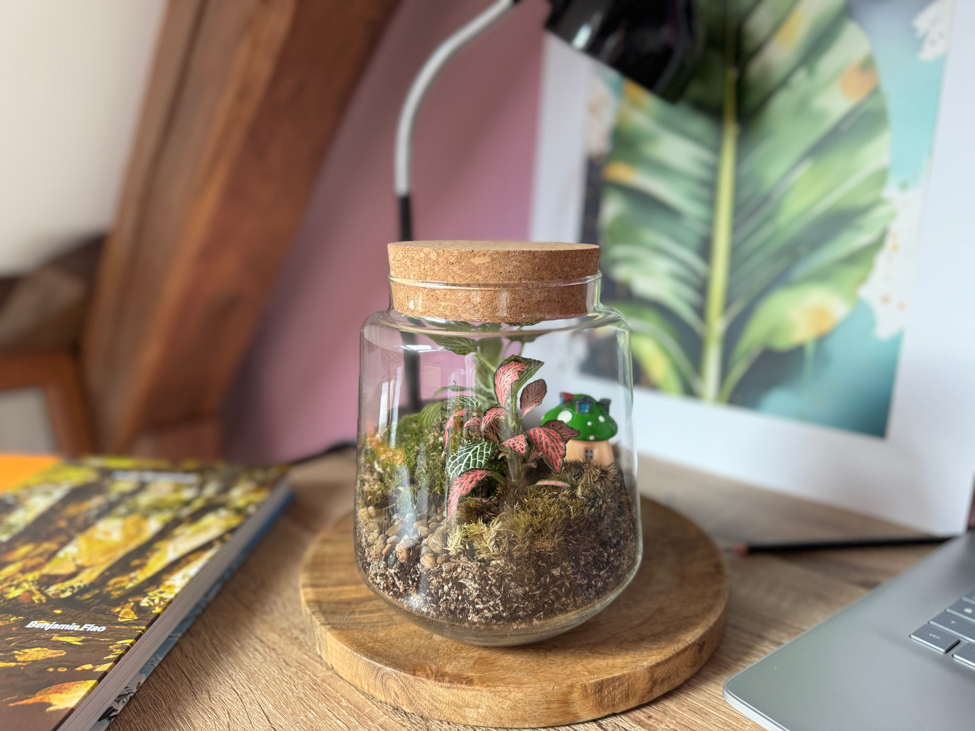 Photo du produit Kit à composer — Taille S/M (Ø15 x H17 cm) miniature.green, terrarium en bocal