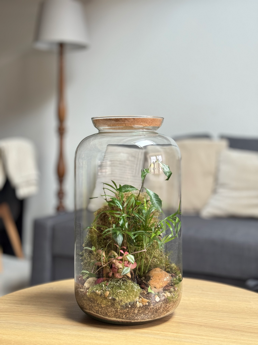 Bocal terrarium sur plateau en bois posé sur un canapé avec coussins