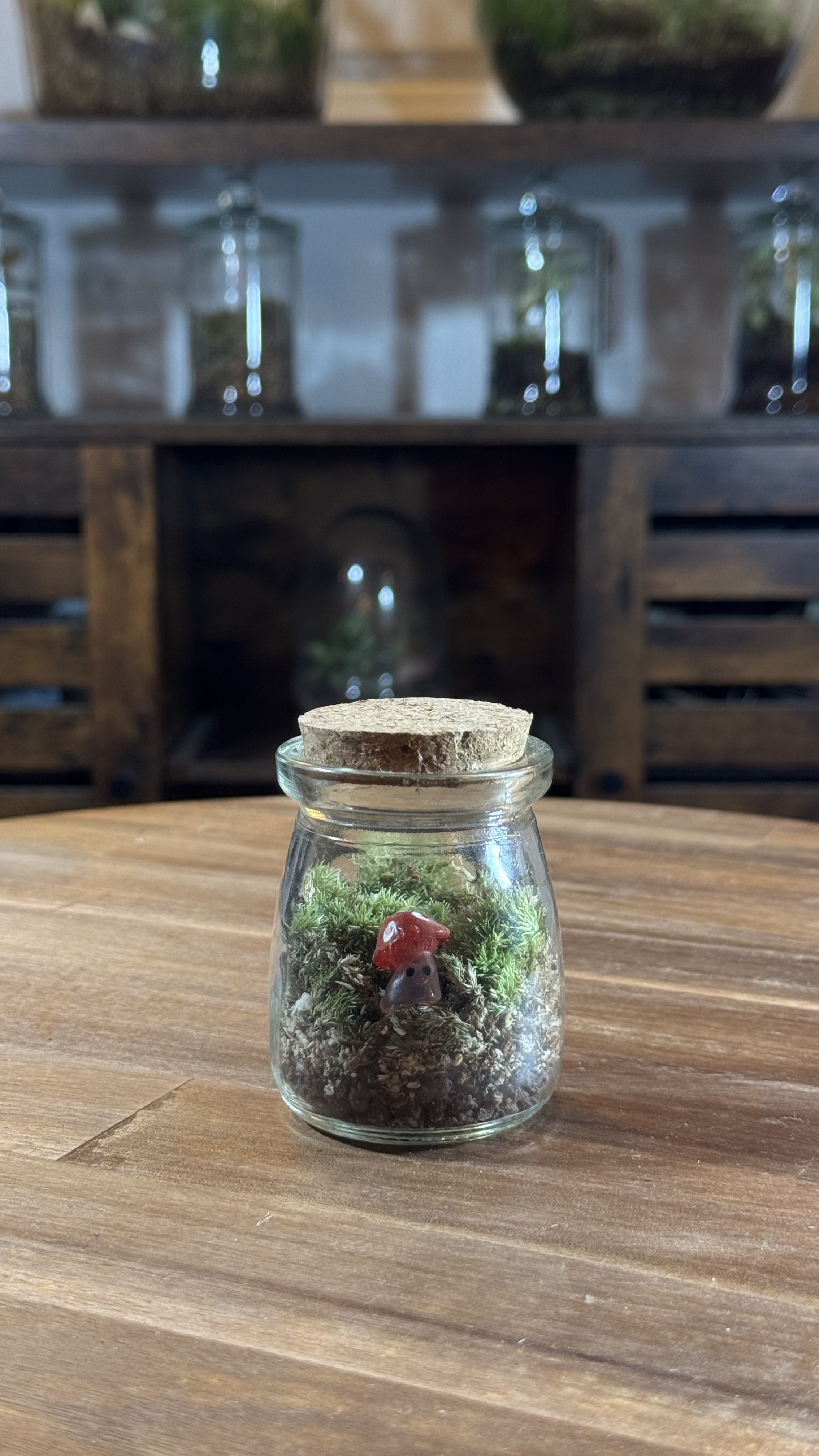 Photo du produit Capsule — Mini-Terrarium Champignon Rouge miniature.green, terrarium en bocal