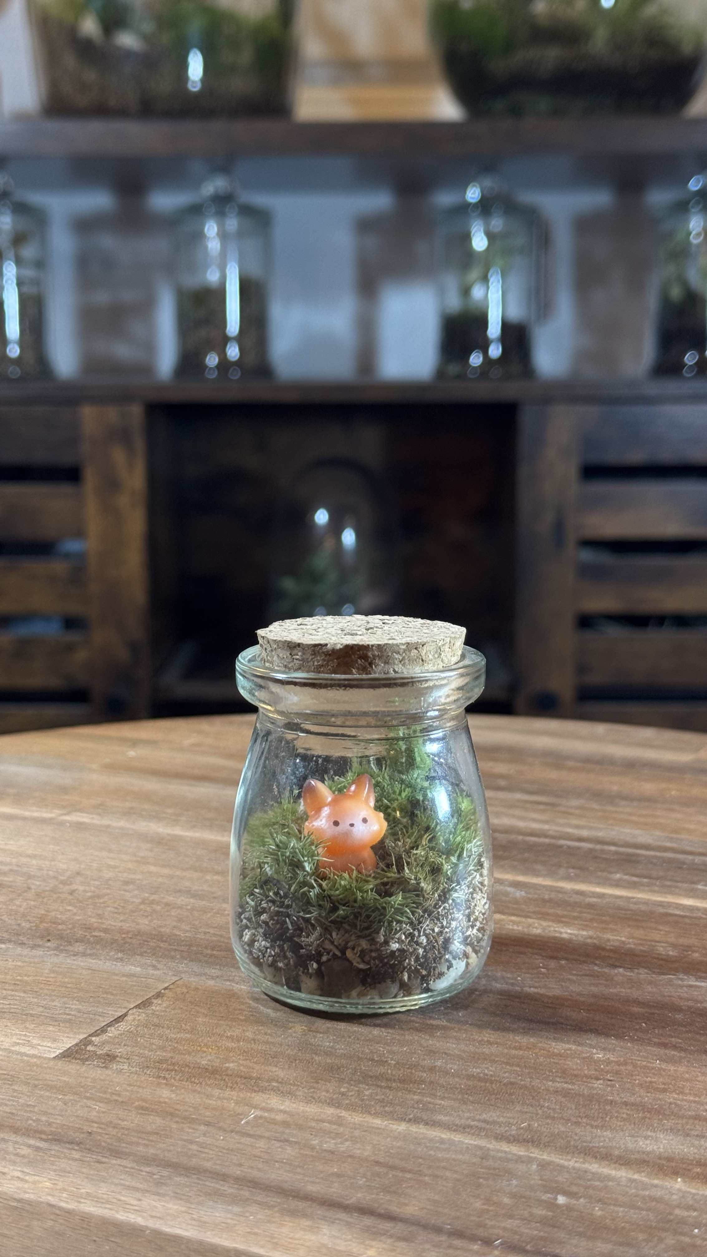 Photo du produit Capsule — Mini-Terrarium Écureuil miniature.green, terrarium en bocal