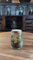 Photo du produit Capsule — Mini-Terrarium Champignon Orange miniature.green, terrarium en bocal