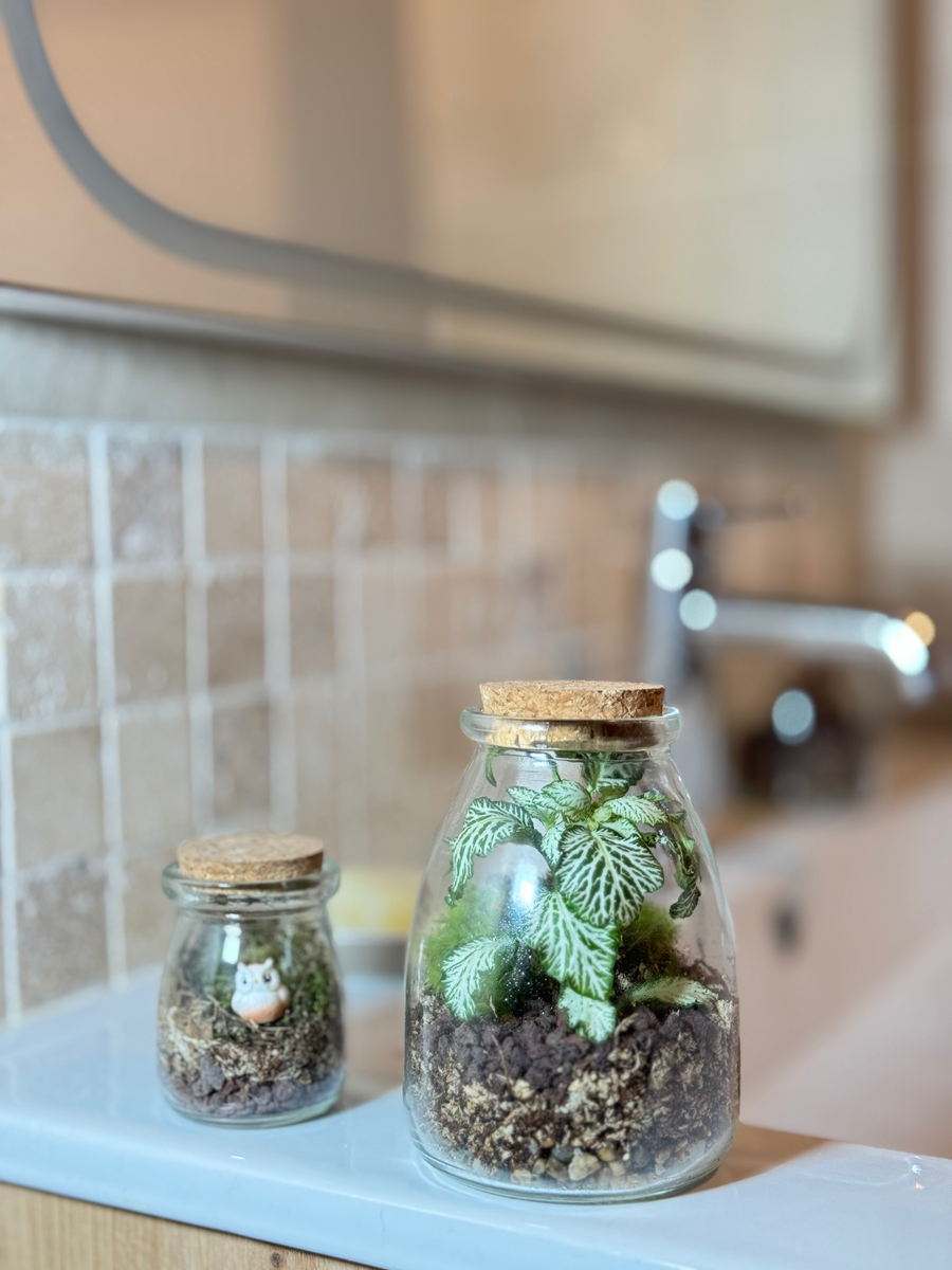 Bocal terrarium posé sur une table ronde en bois, ambiance salon