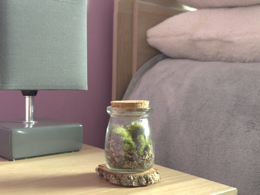 Bocal terrarium posé sur une table basse près d'un coussin mauve