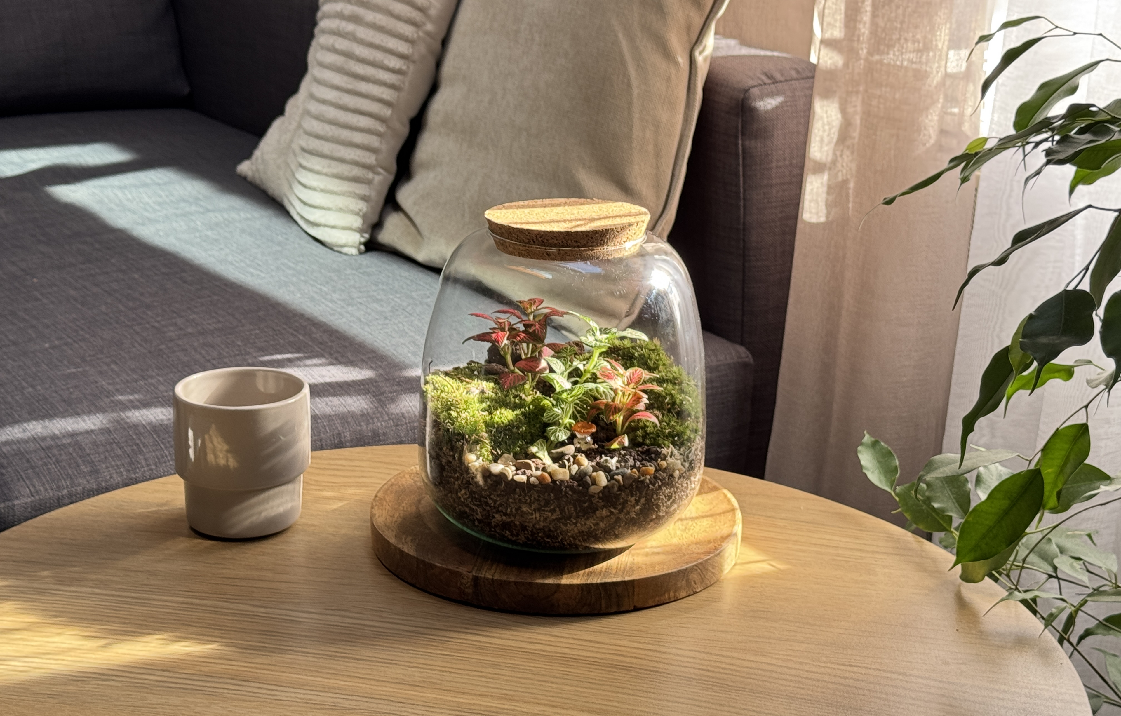 Bocal terrarium et tasse posés sur le rebord d'une fenêtre