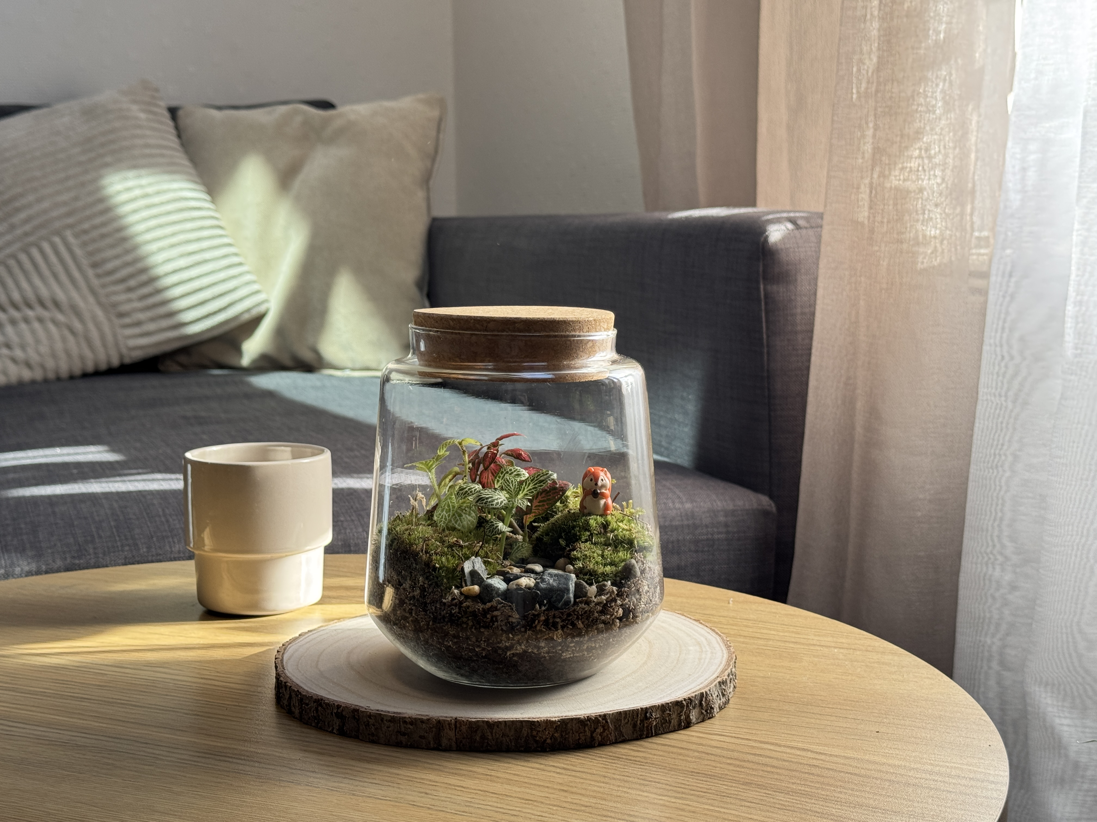 Photo du produit Kit à composer — Taille S/M (Ø15 x H17 cm) miniature.green, terrarium en bocal
