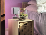 Photo du produit Kit à composer — Taille M (Ø20×H20 cm) miniature.green, terrarium en bocal