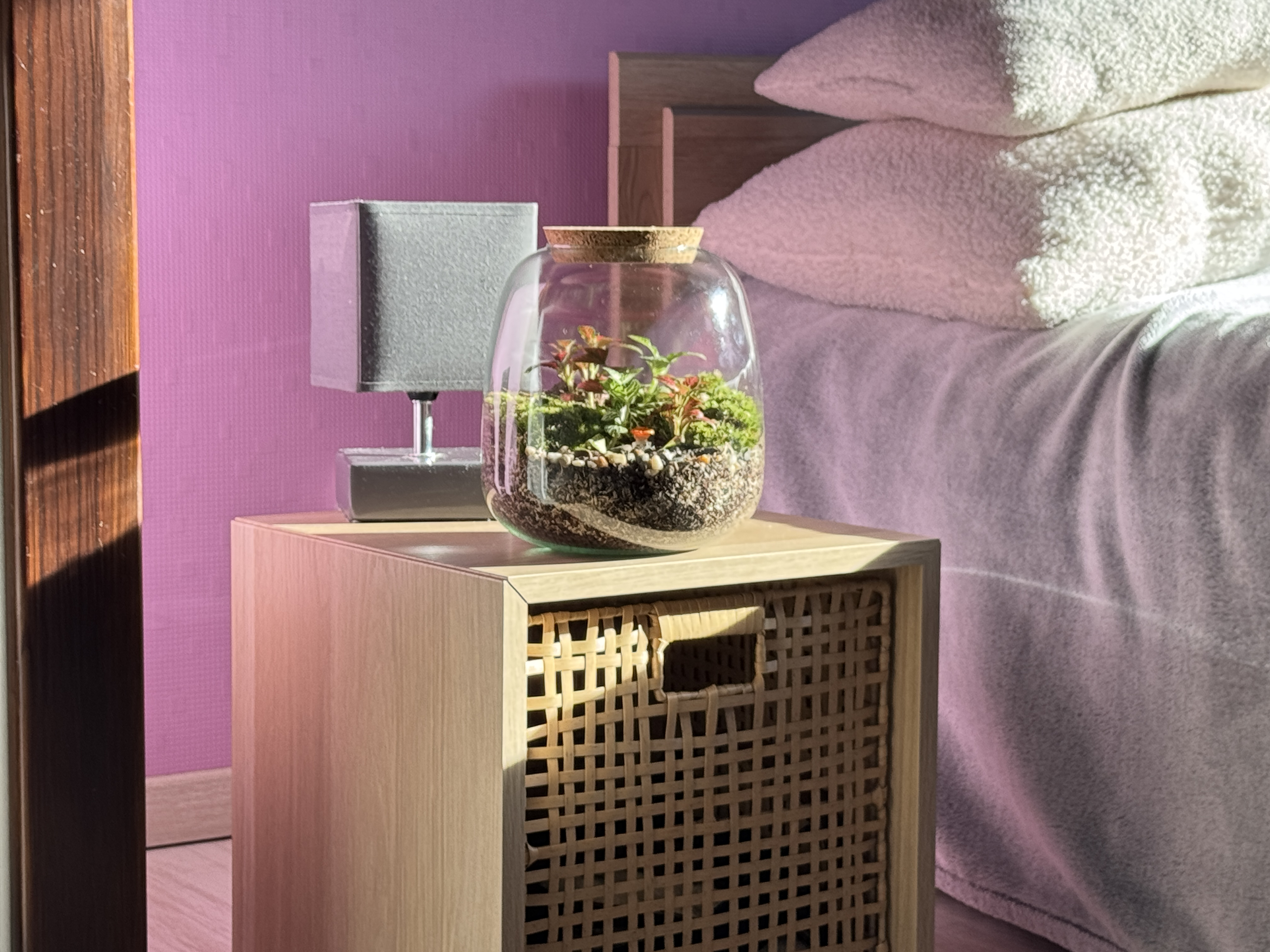 Photo du produit Kit à composer — Taille M (Ø20×H20 cm) miniature.green, terrarium en bocal