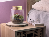 Photo du produit Kit à composer — Taille S/M (Ø15 x H17 cm) miniature.green, terrarium en bocal