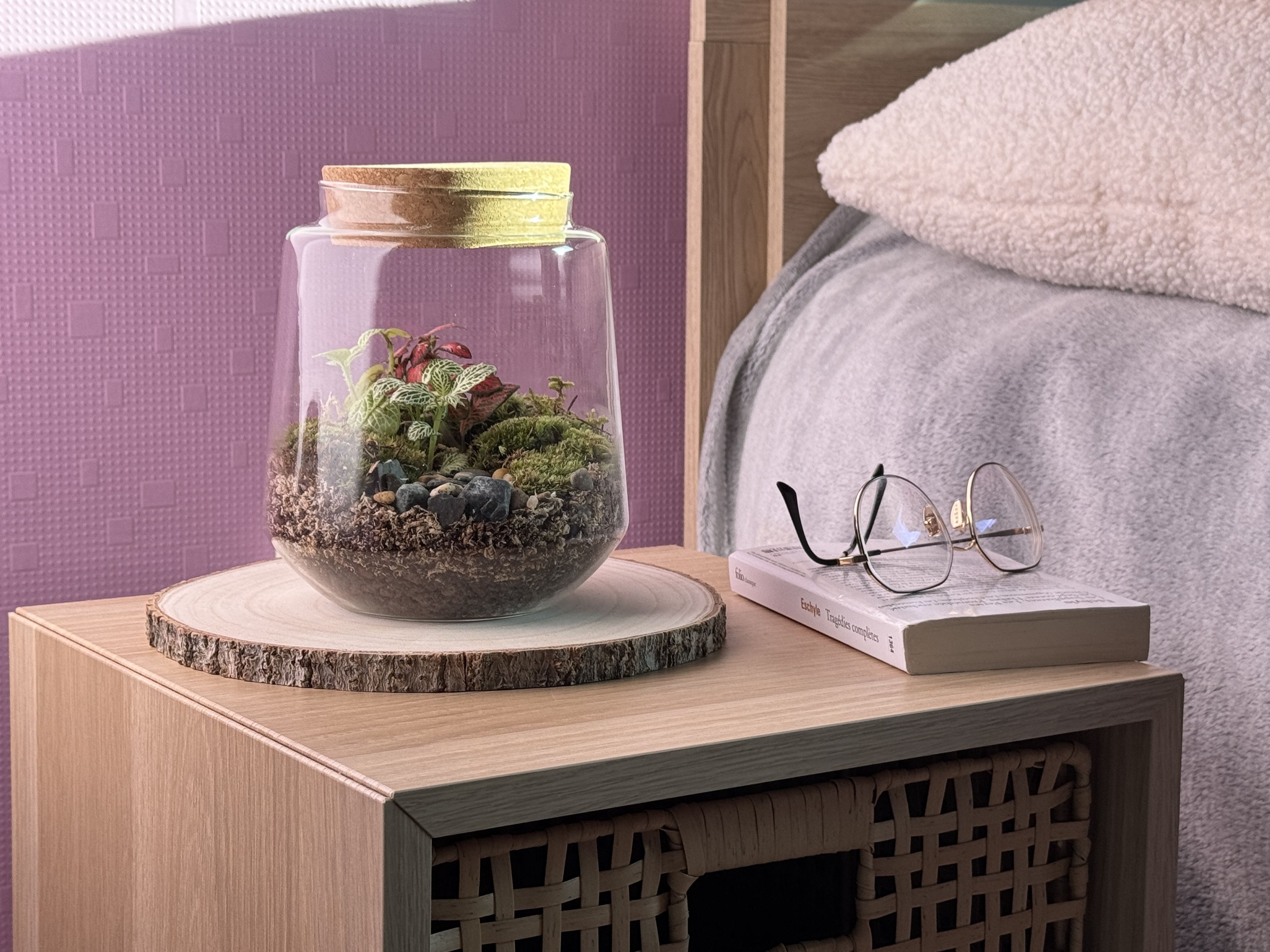 Photo du produit Kit à composer — Taille S/M (Ø15 x H17 cm) miniature.green, terrarium en bocal