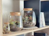 Photo du produit Kit à composer — Taille S/M (Ø15 x H17 cm) miniature.green, terrarium en bocal