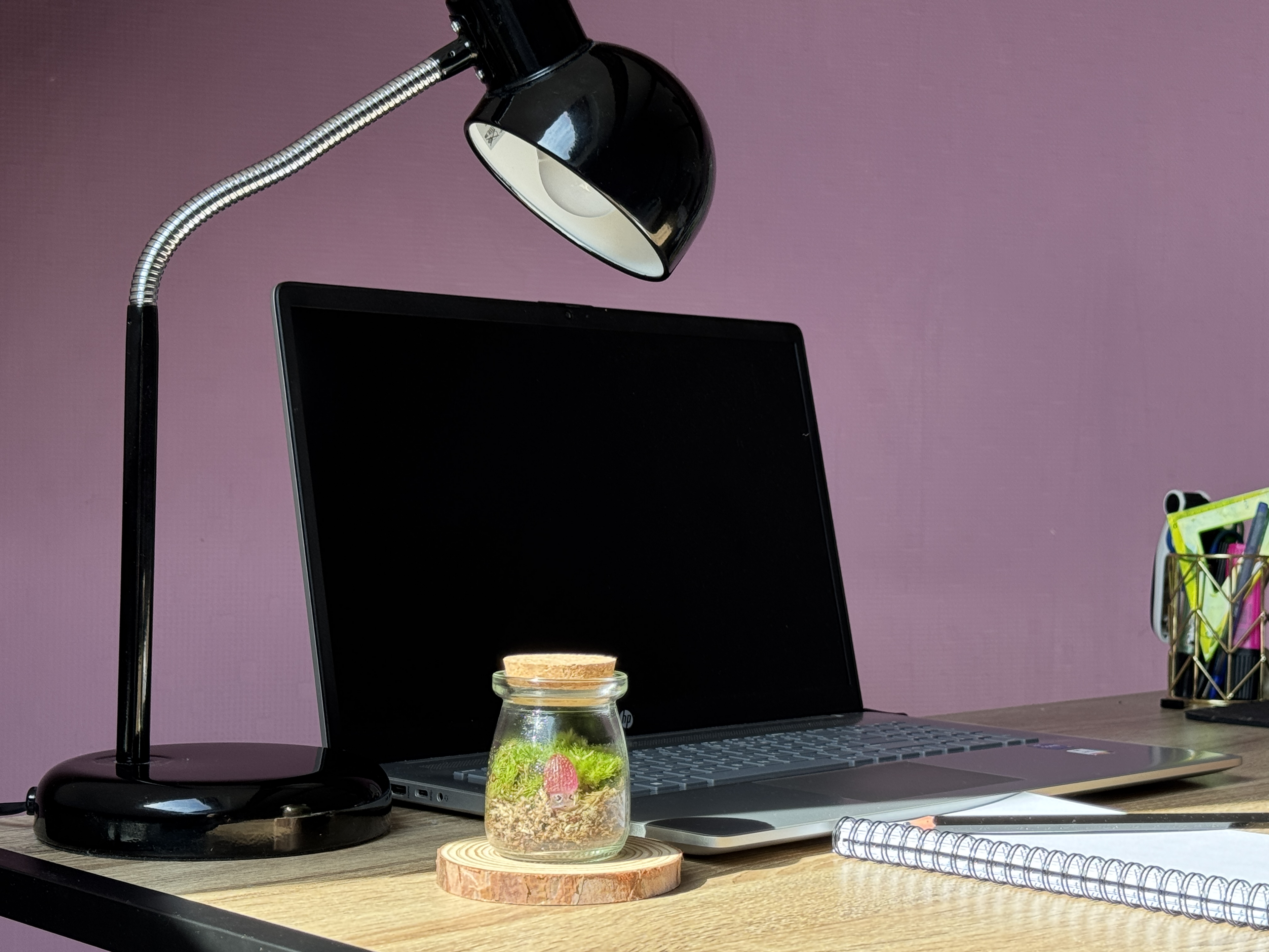 Photo du produit Miniature décorative (figurine, pierres, mises en scène...) miniature.green, terrarium en bocal