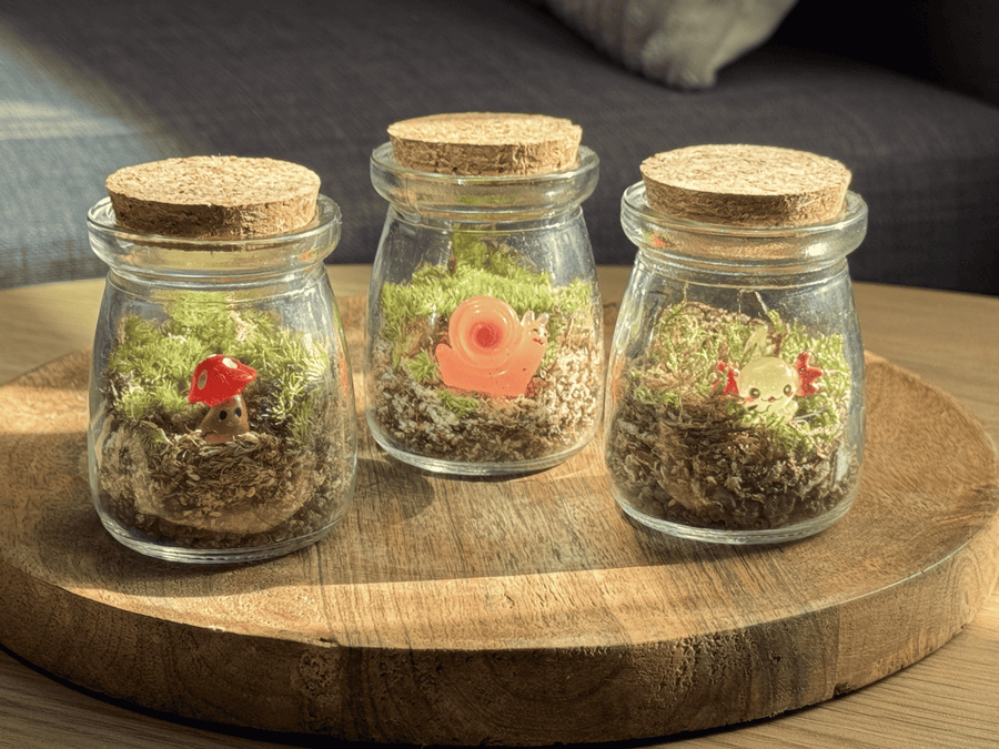 Illustration miniature.green : capsule mini-terrarium