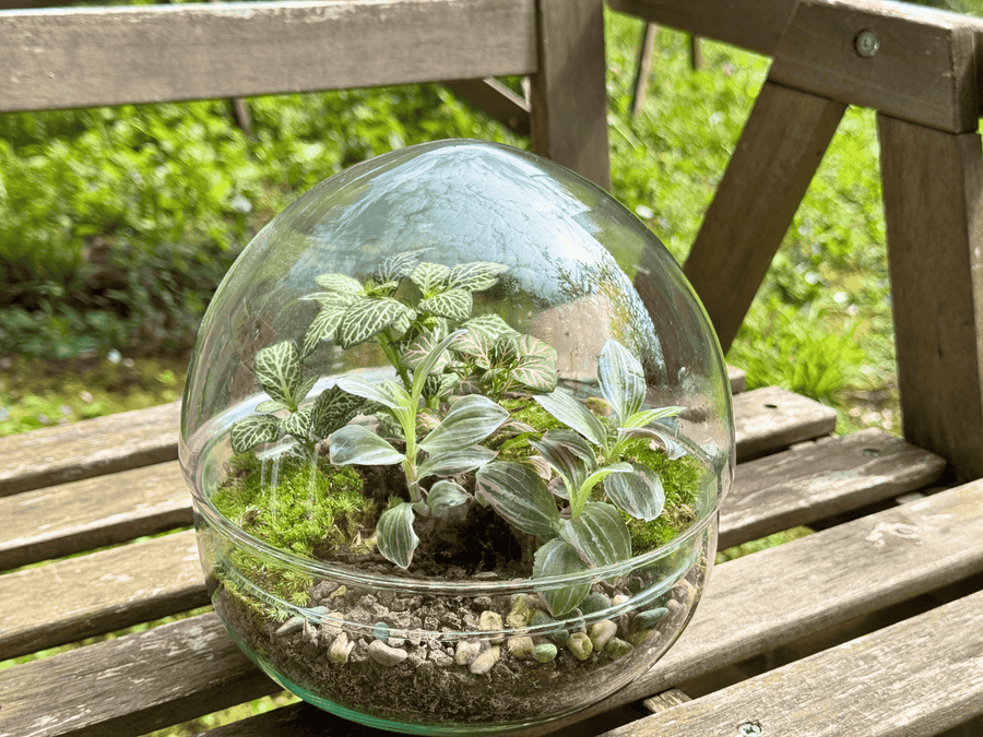 Illustration miniature.green : jardin miniature