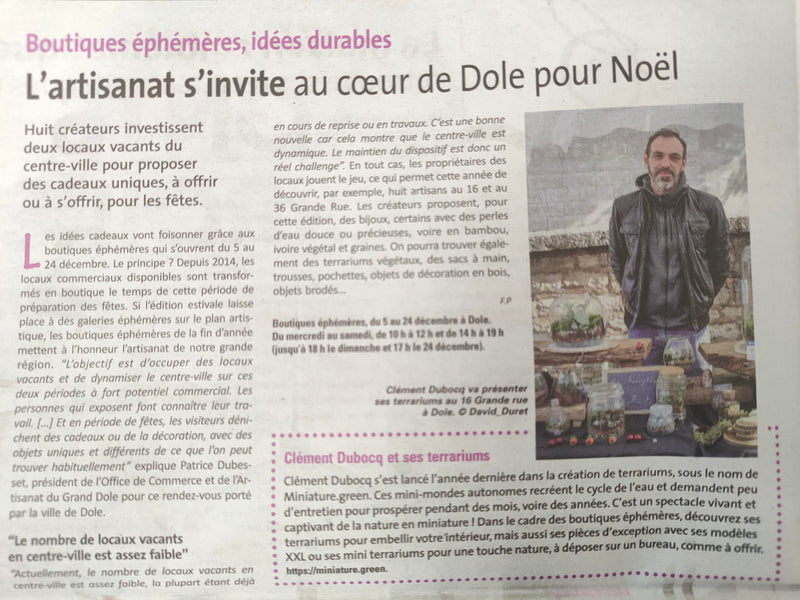 Miniature dans la presse