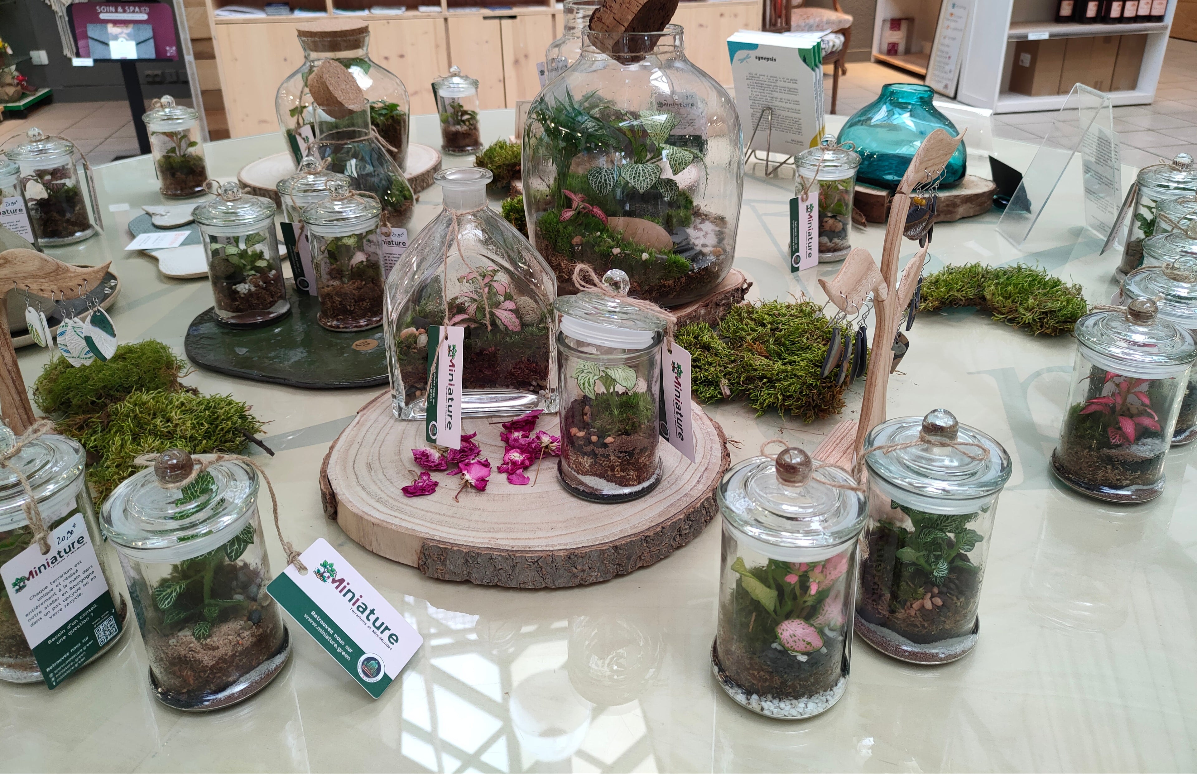 Vitrine ou stand miniature.green présentant les terrariums, Auxois