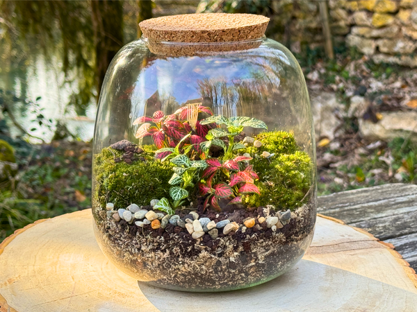 Kit à composer — Taille M (Ø20×H20 cm)