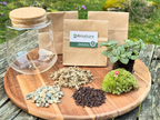 Kit à composer Taille S/M (Ø15 x H17 cm) miniature.green assemblé, terrarium en bocal, coloris vert