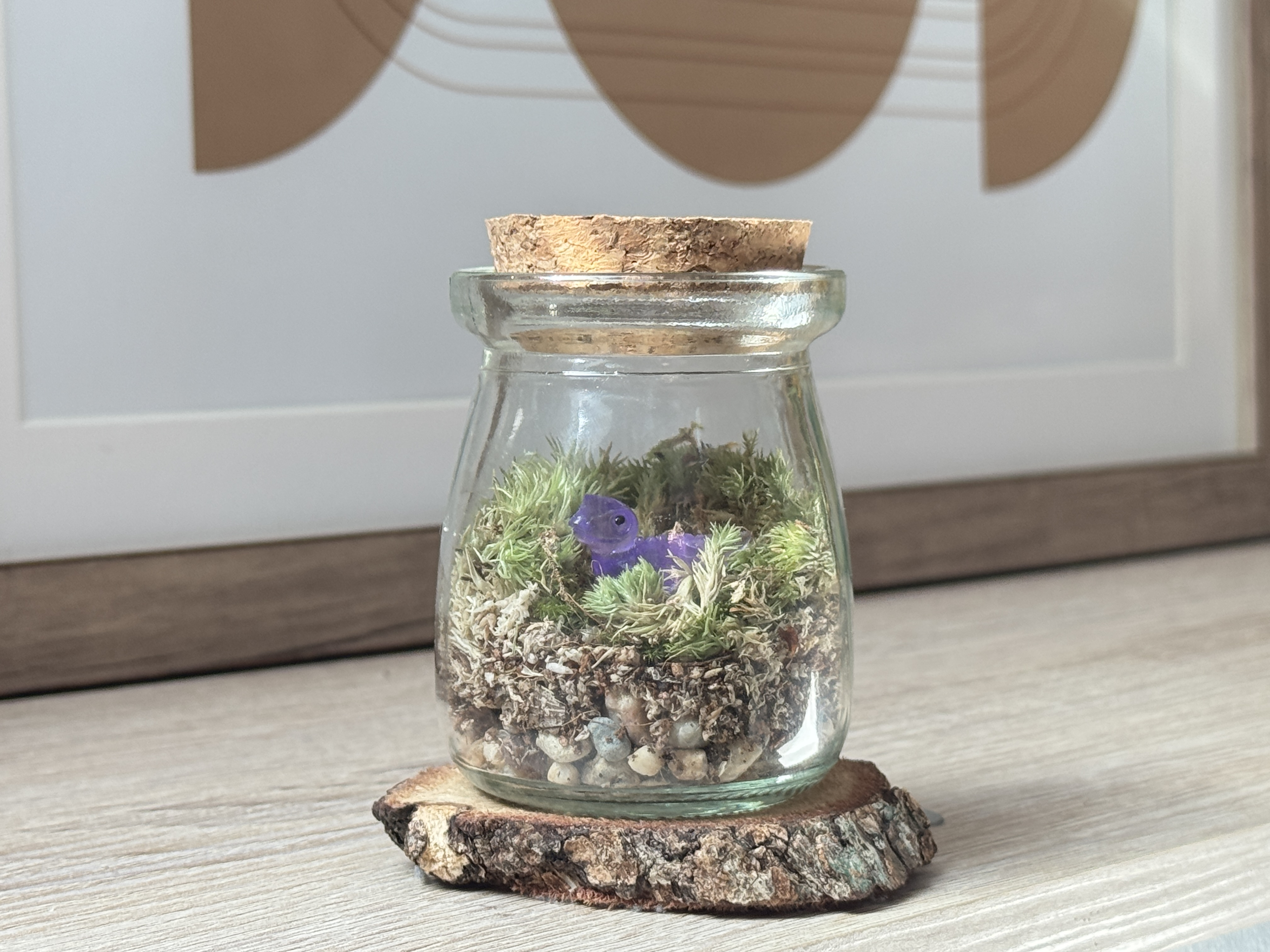 Capsule Purple Dinosaur