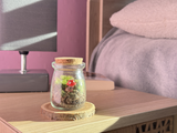 Lifestyle XS Red Mushroom Bedroom