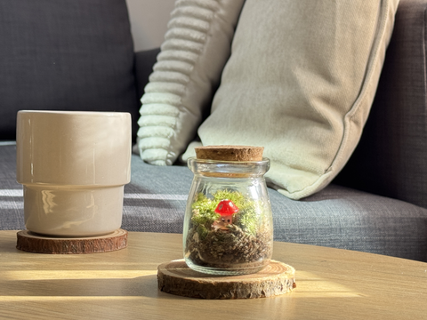 Lifestyle Caspule Livingroom Red mushroom