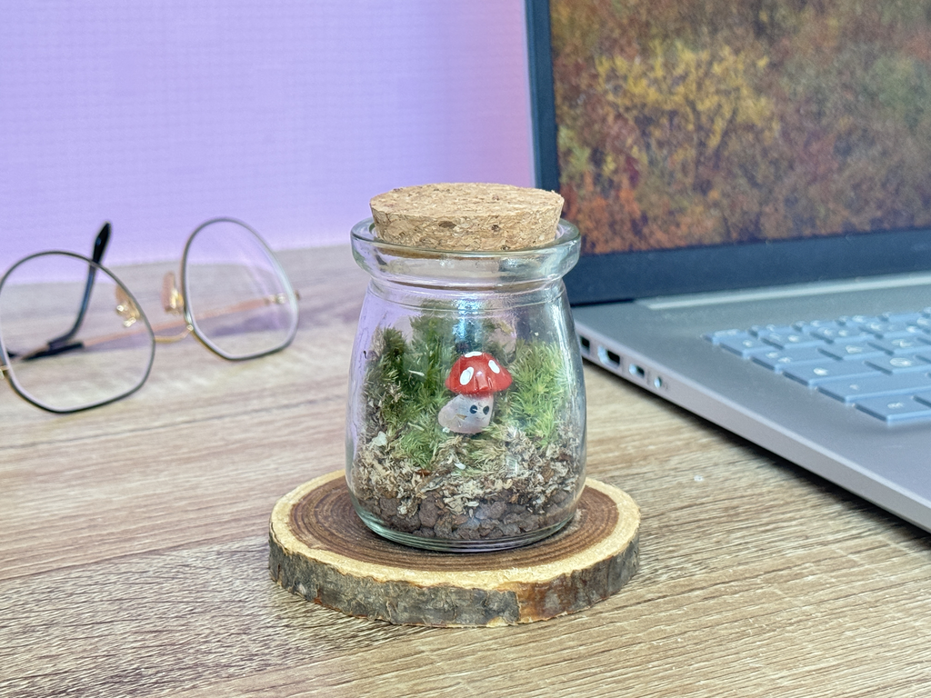 Caspule Red Mushrrom Office