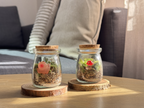 Caspule Red Mushroom & Pink Snail LivingRoom