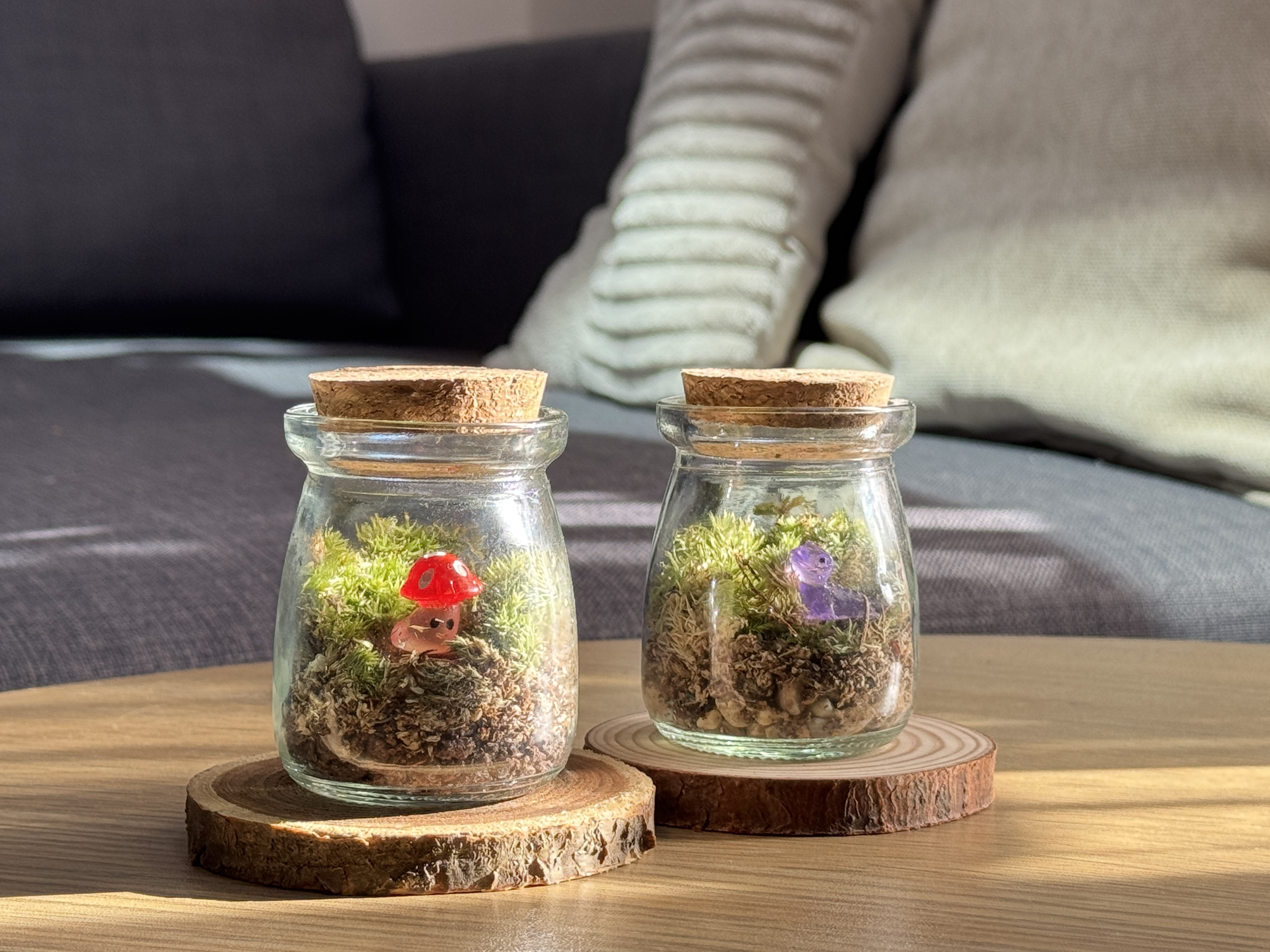 Capsule - Red Mushroom & Purple Dinosaur in Living Room