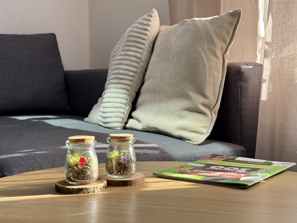 Lifestyle Capsule Living Room x2
