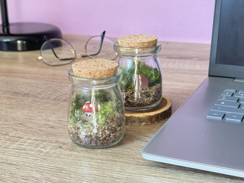 Caspule Red Mushrooms office