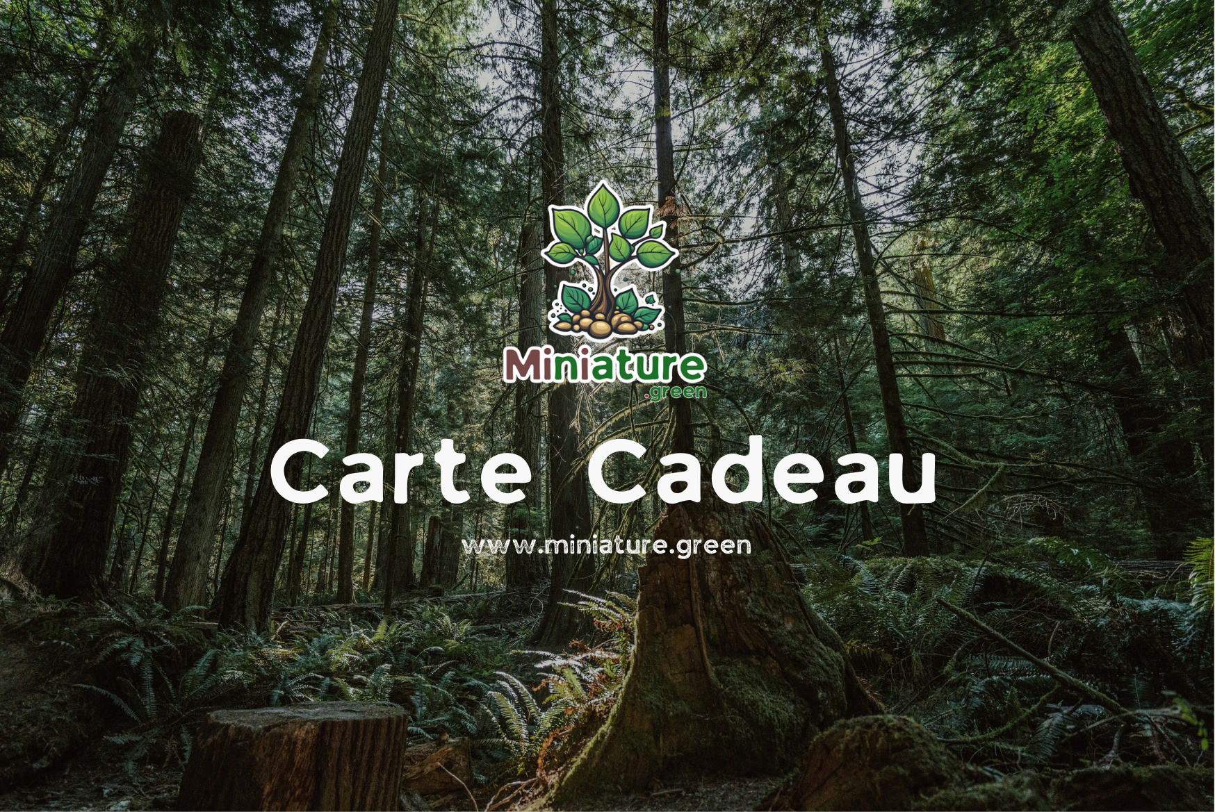 Carte Cadeau Miniature miniature.green