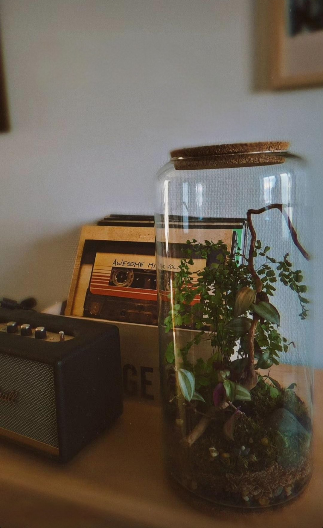 Photo client d'un terrarium miniature.green