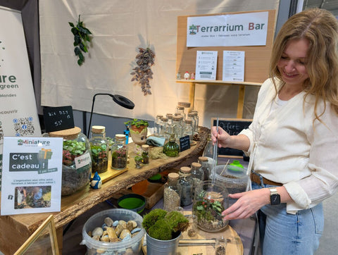 Personne travaillant sur ordinateur portable dans un intérieur décoré de plantes et terrariums
