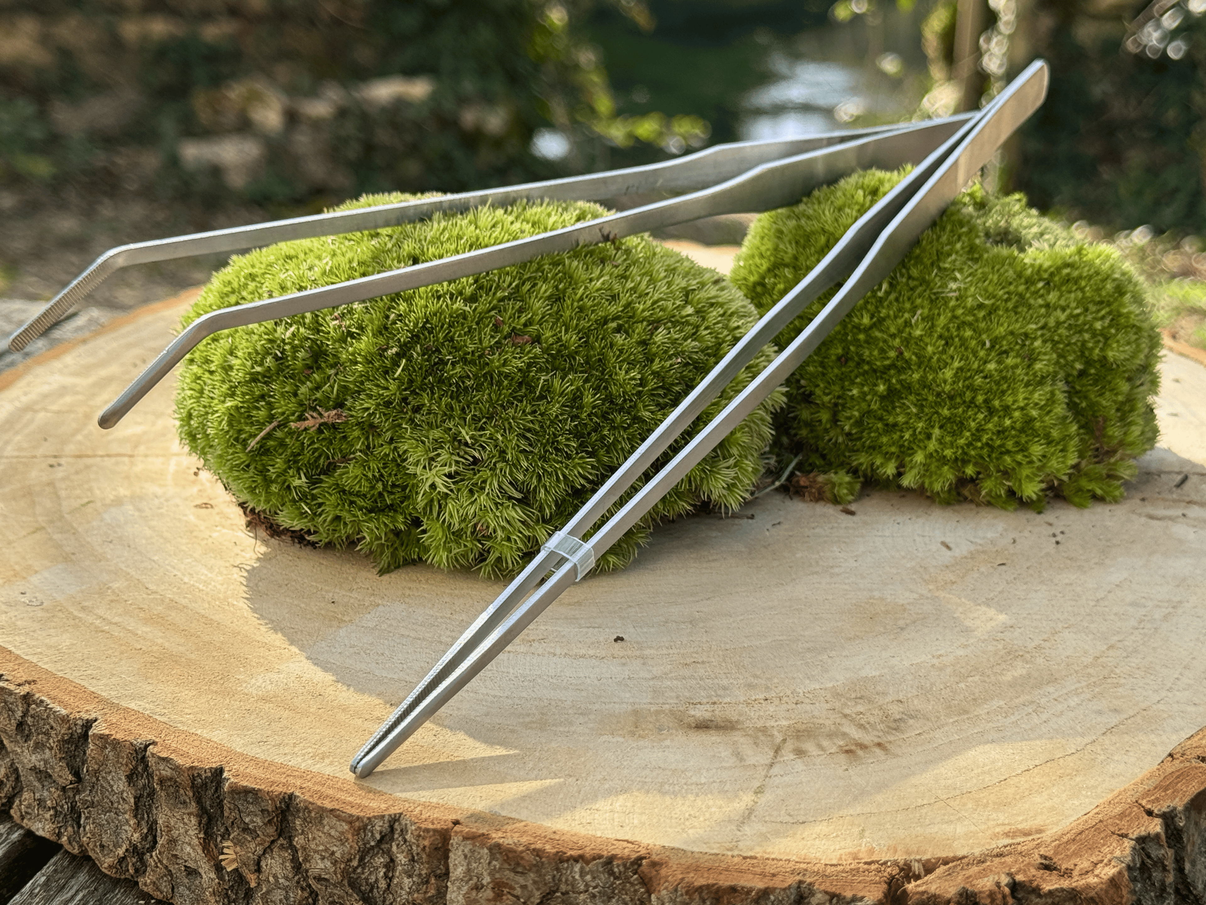 Duo de Pinces Terrarium miniature.green en situation d'utilisation