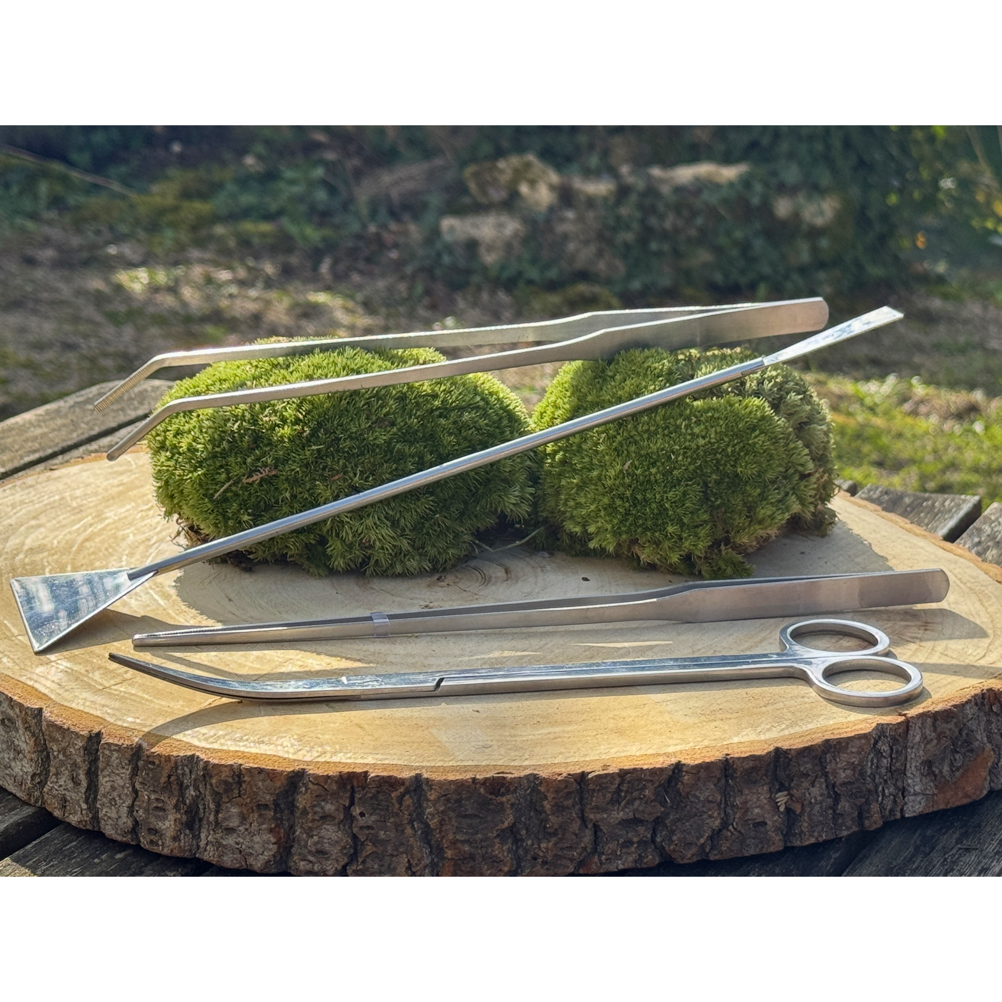Coffret Outils Terrarium 4 pièces miniature.green en situation d'utilisation