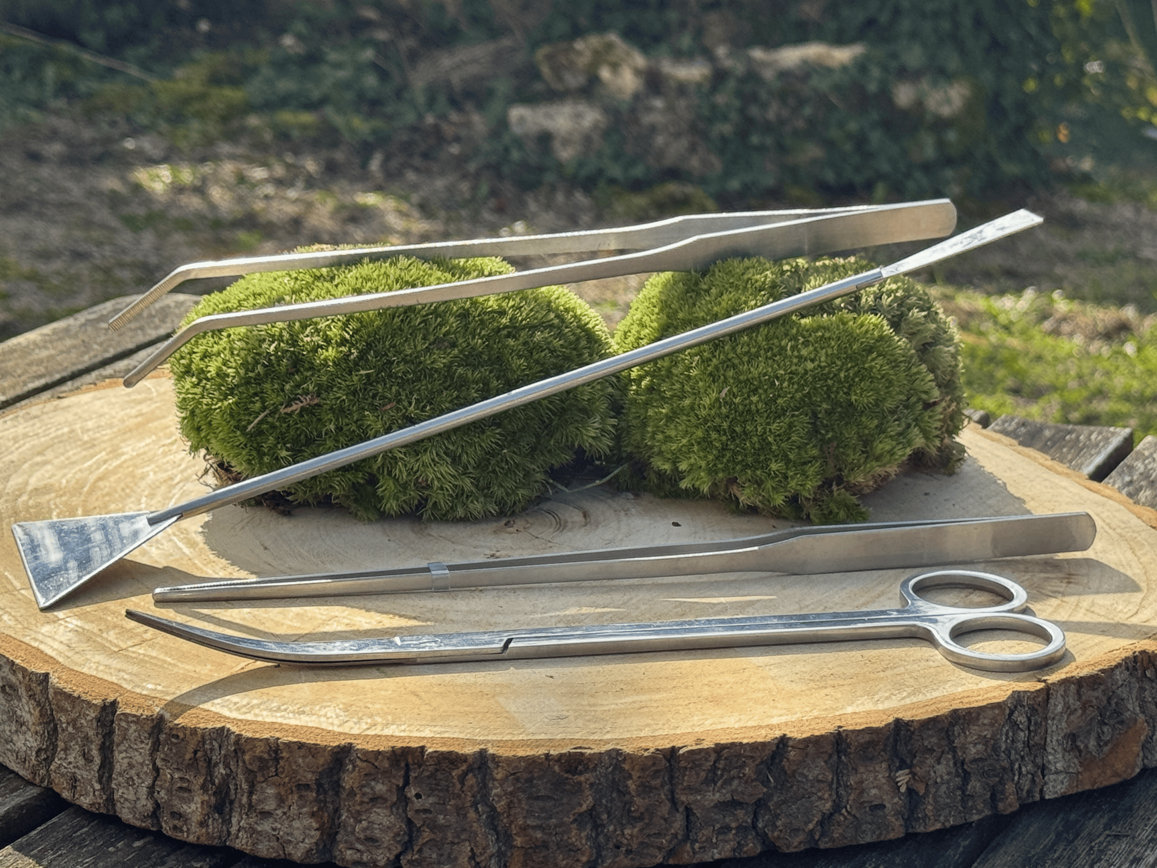 Coffret Outils Terrarium 4 pièces miniature.green en situation d'utilisation