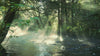River in forest