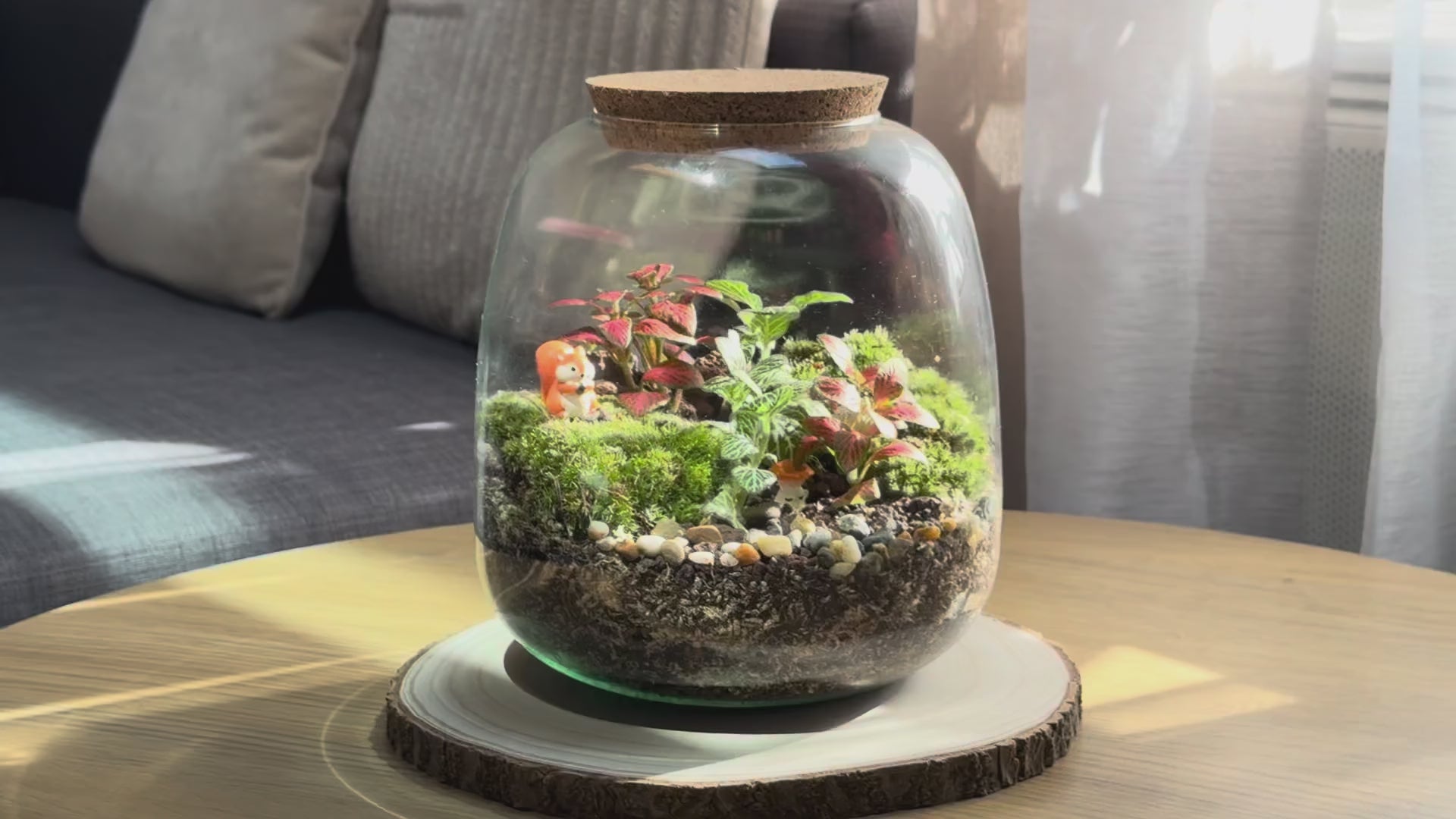 Kit à composer — Taille M (Ø20×H20 cm)