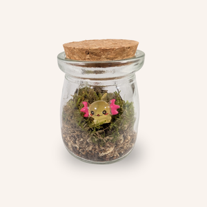 Capsule — Mini-Terrarium Axolotl