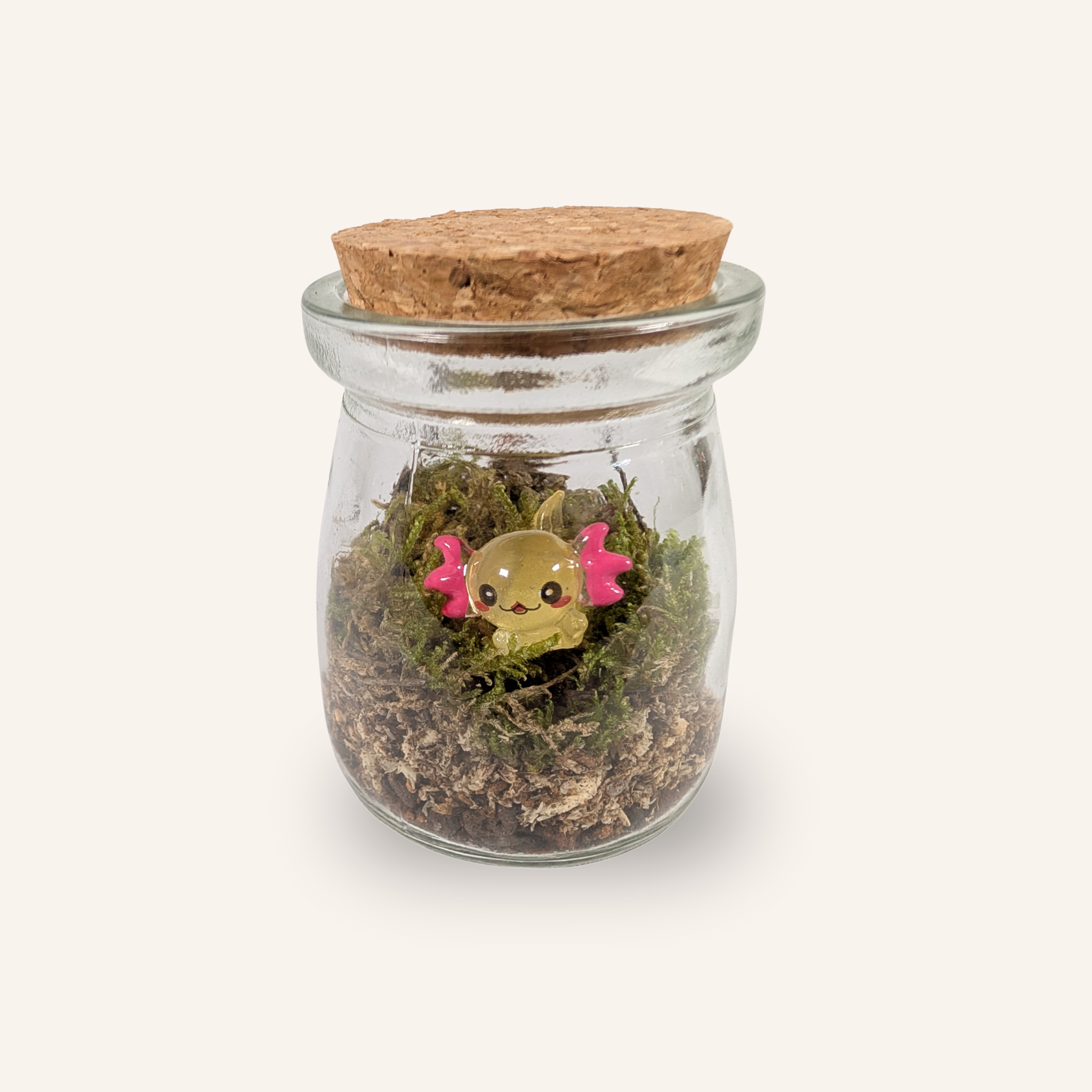 Packshot studio de la capsule Mini-Terrarium avec figurine Axolotl miniature.green, bocal en verre sur fond gris