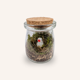 Packshot studio de la capsule Mini-Terrarium avec figurine Canard miniature.green, bocal en verre sur fond gris