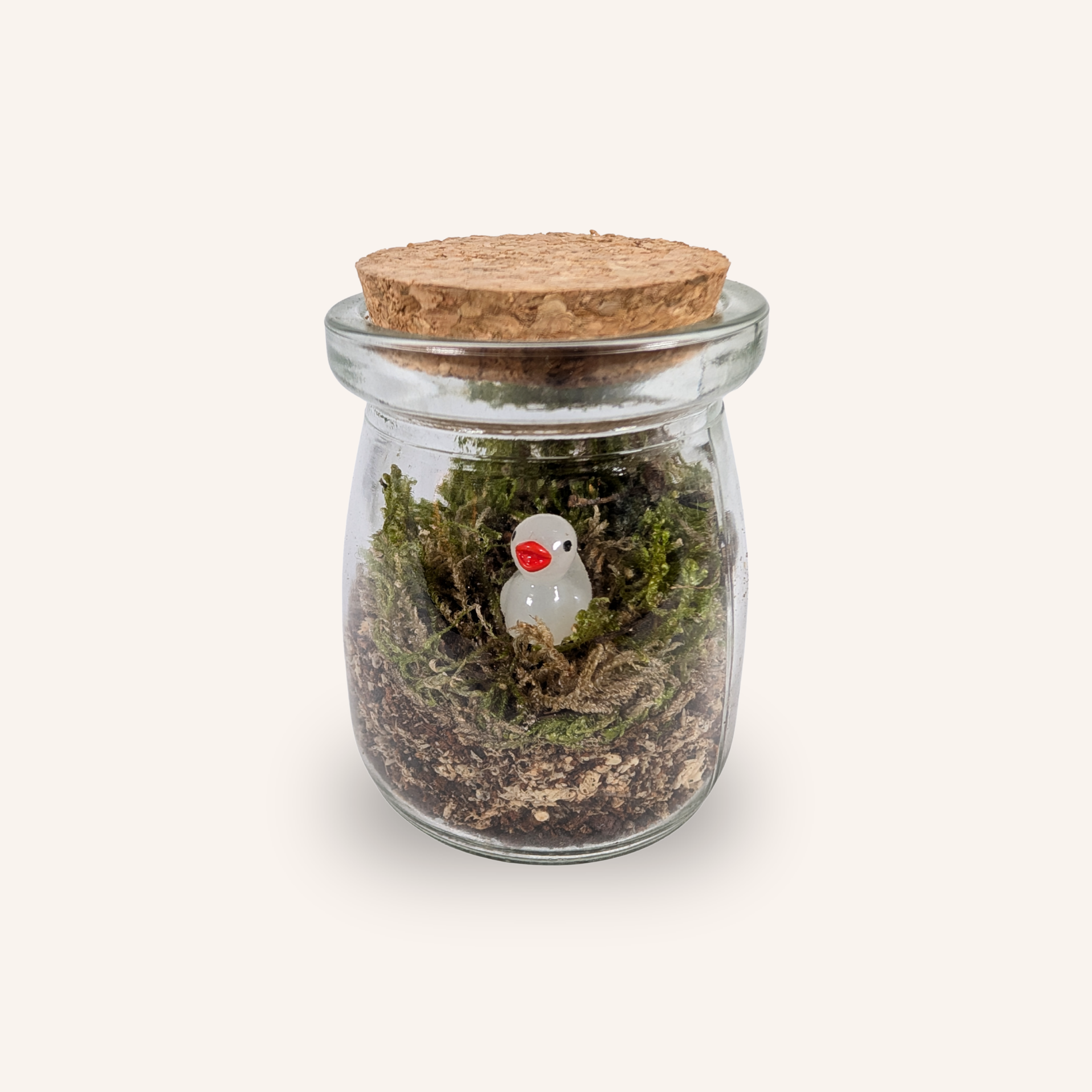 Packshot studio de la capsule Mini-Terrarium avec figurine Canard miniature.green, bocal en verre sur fond gris