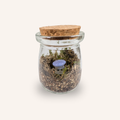 Packshot studio de la capsule Mini-Terrarium avec figurine Champignon Bleu miniature.green, bocal en verre sur fond gris