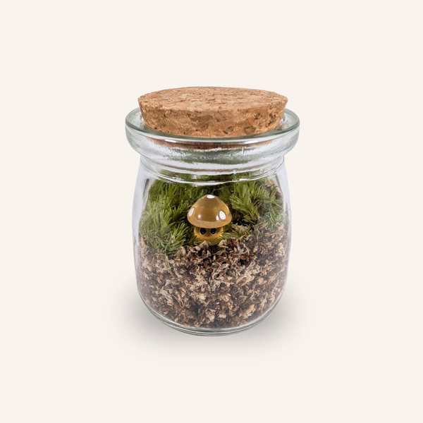 Capsule — Mini-Terrarium Champignon multicolore