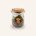 Packshot studio de la capsule Mini-Terrarium avec figurine Champignon Orange miniature.green, bocal en verre sur fond gris