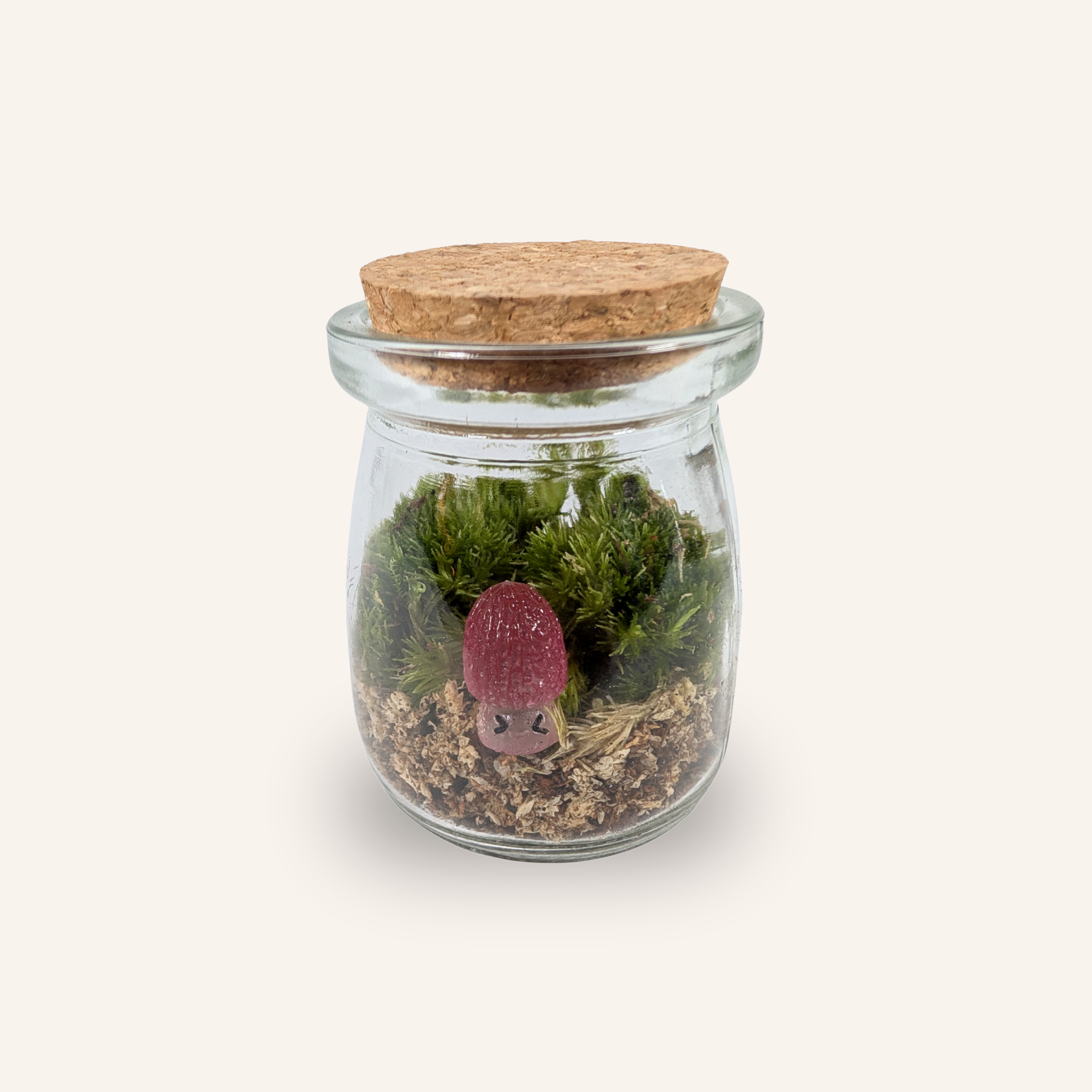 Packshot studio de la capsule Mini-Terrarium avec figurine Champignon Morille miniature.green, bocal en verre sur fond gris