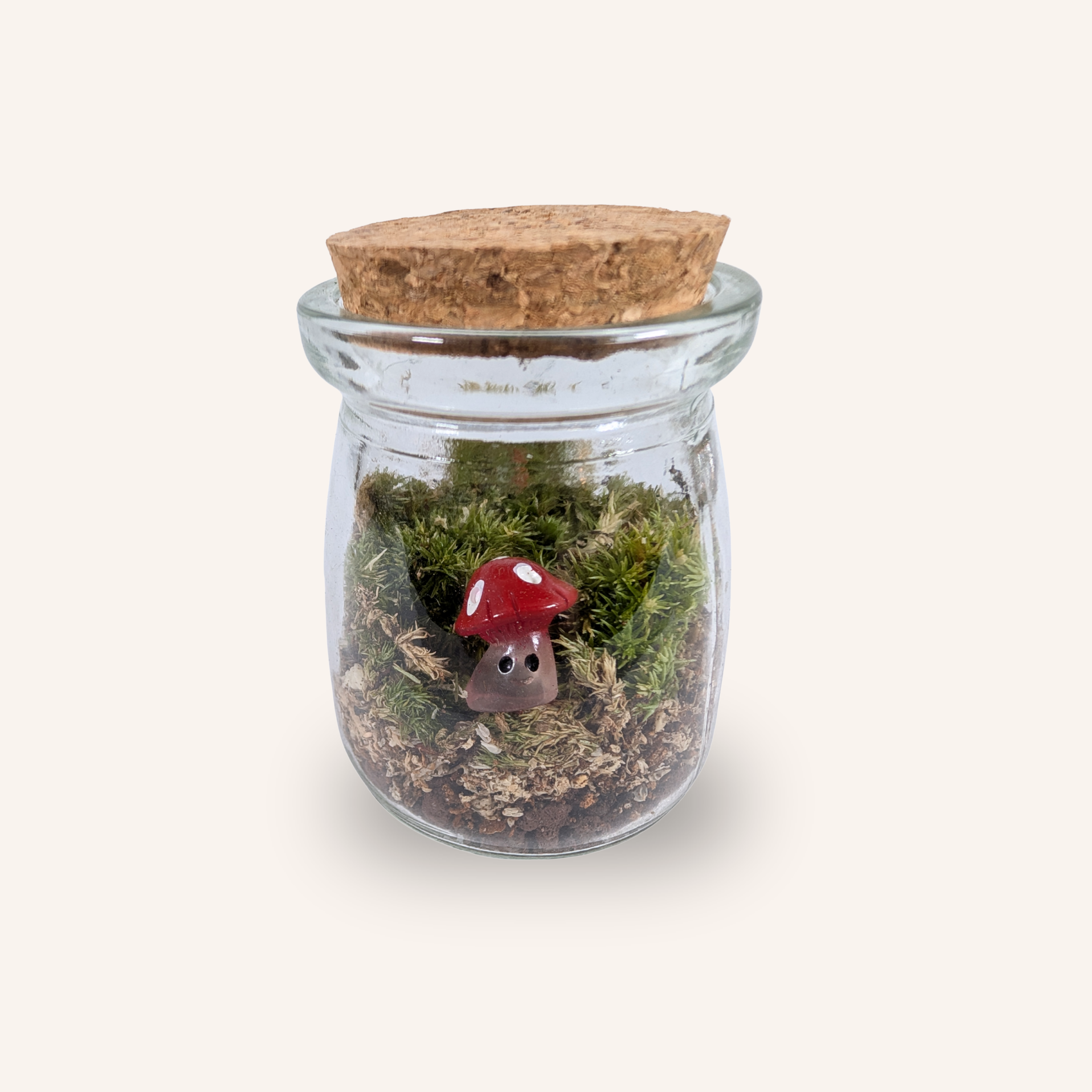 Packshot studio de la capsule Mini-Terrarium avec figurine Champignon Rouge miniature.green, bocal en verre sur fond gris