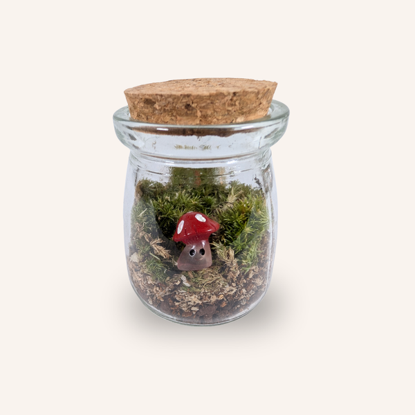 Capsule — Mini-Terrarium Champignon Rouge