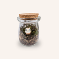 Packshot studio de la capsule Mini-Terrarium avec figurine Chouette miniature.green, bocal en verre sur fond gris